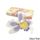 CATTLEYA ORCHID PURPLE SMALL | SUGAR FLOWERS | BOX OF 25 - BB 12/24