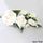 ROSE SPRAY WHITE | SUGAR FLOWERS | BOX OF 4 - BB 12/24