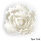 PEONY JUMBO WHITE | SUGAR FLOWERS | BOX OF 5