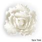 PEONY JUMBO WHITE | SUGAR FLOWERS | BOX OF 5 - BB 31/12/26