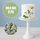 FILLER SPRAYS | SUGAR FLOWERS | BOX OF 9