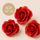 SINGLE ROSE MEDIUM RED | SUGAR FLOWERS | BOX OF 16
