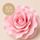 SINGLE ROSE LARGE PINK | SUGAR FLOWERS | BOX OF 9