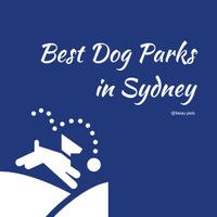 Best Dog Parks in Sydney