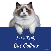 Let's Talk Cat Collars