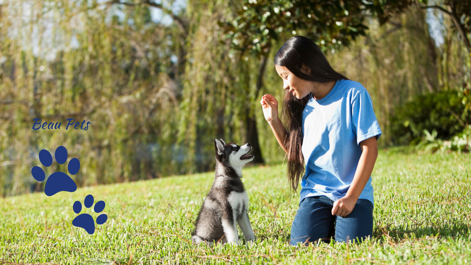 Beau Pets Blog photos.png