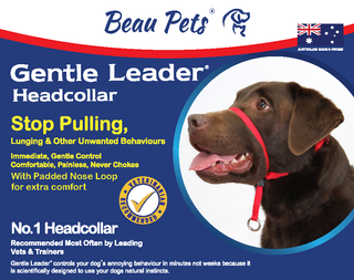 Gentle leader outlet harness