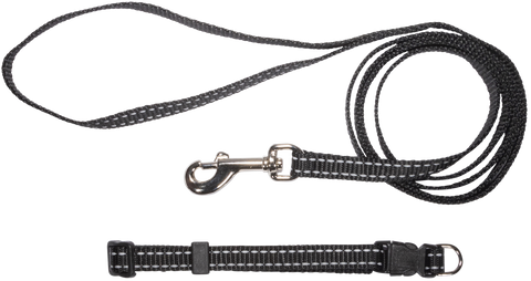 Reflective Thread Puppy Collar and Lead Set