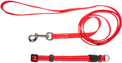 Collar & Lead Set Nylon Refl/Thrd Red
