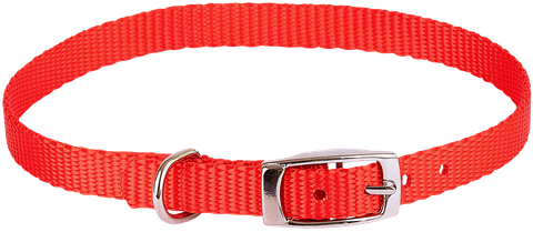 Puppy Collar Single Layer Nylon