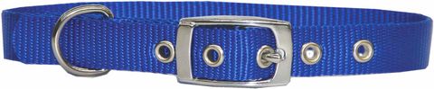 Collar Nylon 20mm x 50cm S/Layer Blue
