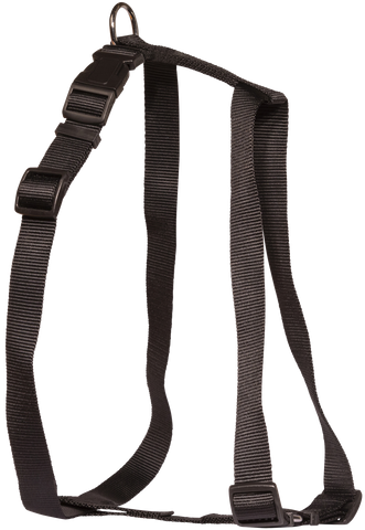 Harness Nyl 25mmx50-90cm Black