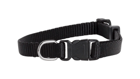 Collar Nylon Adj 10mmx23-35cm Black