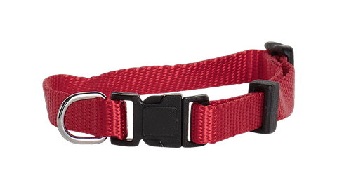 Collar Nylon Adj 10mmx23-35cm Red
