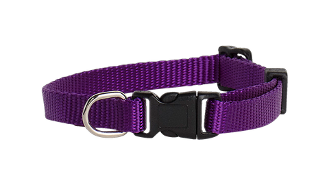 Collar Nylon Adj 10mmx23-35cm Purple