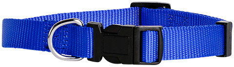 Collar Nylon Adj 20mmx35-55cm Blue