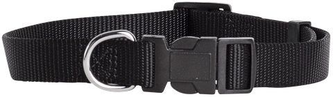 Collar Nylon Adj 20mmx35-55cm Black