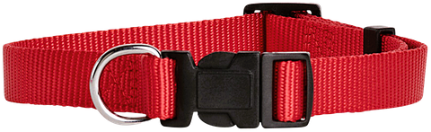 Collar Nylon Adj 20mmx35-55cm Red