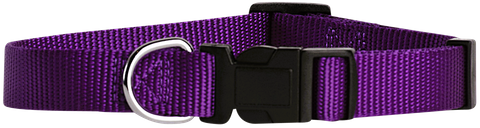 Collar Nylon Adj 20mmx35-55cm Purple