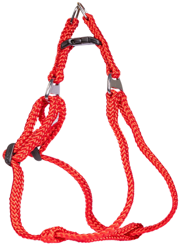 Harness Nyl A Type  8mm 23-35cm Red
