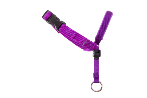 Gentle Leader Head Collar Medium Purple