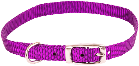 Collar Nylon 10mm x 35cm S/Layer Purple