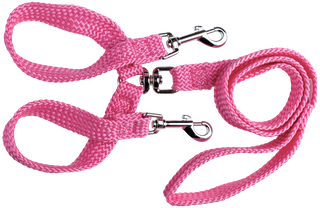 Dog Brace Lead Double Nylon for 2 Dogs