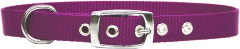 Dog Collar Single Layer Nylon