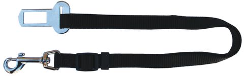 Car Restraint Strap 15mm with Snap Hook