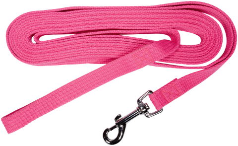 Lead Webbing Training 20mmx5Mtrs Pink