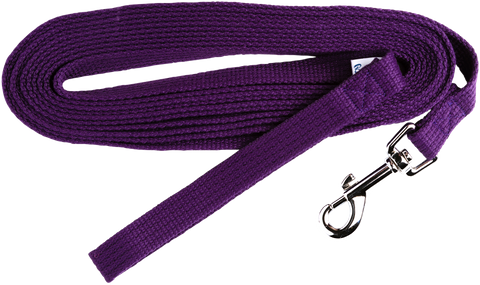 Lead Webbing Training 20mmx5Mtrs Purple