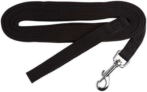 Lead Webbing Training 20mmx5Mtrs Black