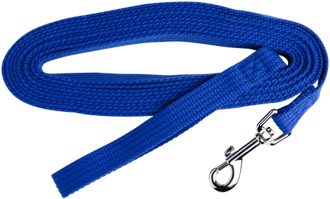 Lead Webbing Training 20mmx5Mtrs Blue