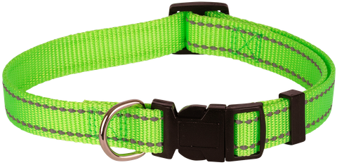 Reflective Thread Dog Collar