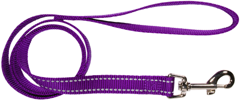Lead Nylon Dog 20mmx120cm Refl/Thrd Purp