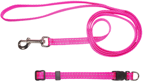 Collar & Lead Set Nylon Refl/Thrd Pink