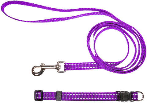Collar & Lead Set Nylon Refl/Thrd Purple