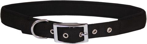 Collar Nylon/Neoprene 25mmx65cm Black