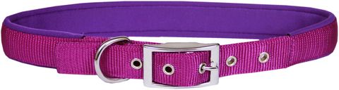 Dog Collar Neoprene