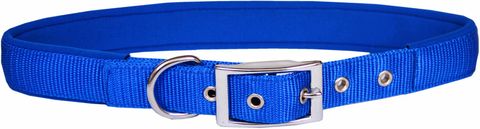 Collar Nylon/Neoprene 25mmx65cm Blue
