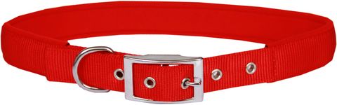 Collar Nylon/Neoprene 25mmx65cm Red