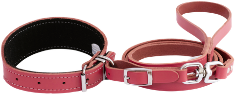 Collar & Lead Set Greyhound Pink