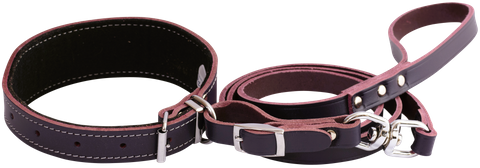 Collar & Lead Set Greyhound Purple