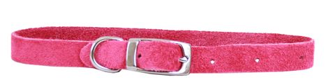 Collar Suede Puppy w/"D" Pink