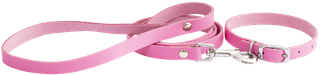 Leather Puppy Collar and Lead Set