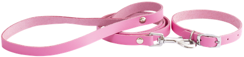 Leather Puppy Collar and Lead Set