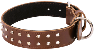 Bull Mastiff Dog Collar