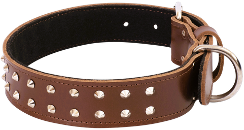 Bull Mastiff Dog Collar