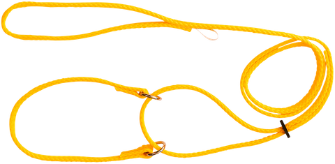 Lead Martingale S/Nylon 120cm Gold