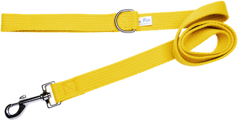 Lead Webbing 25mm x 120cm Gold